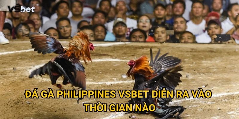 Có gì đặc biệt ở đá gà Philippines Vsbet mà game thủ mê mẩn? 3 Đá gà Philippines Vsbet diễn ra vào thời gian nào?