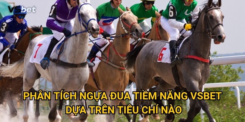 Có khó khăn gì khi phân tích ngựa đua tiềm năng Vsbet không? 2 Phân tích ngựa đua tiềm năng Vsbet dựa trên tiêu chí nào?