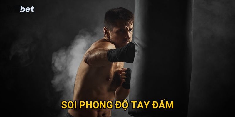Vì sao soi phong độ tay đấm Vsbet lại quan trọng với cược thủ?